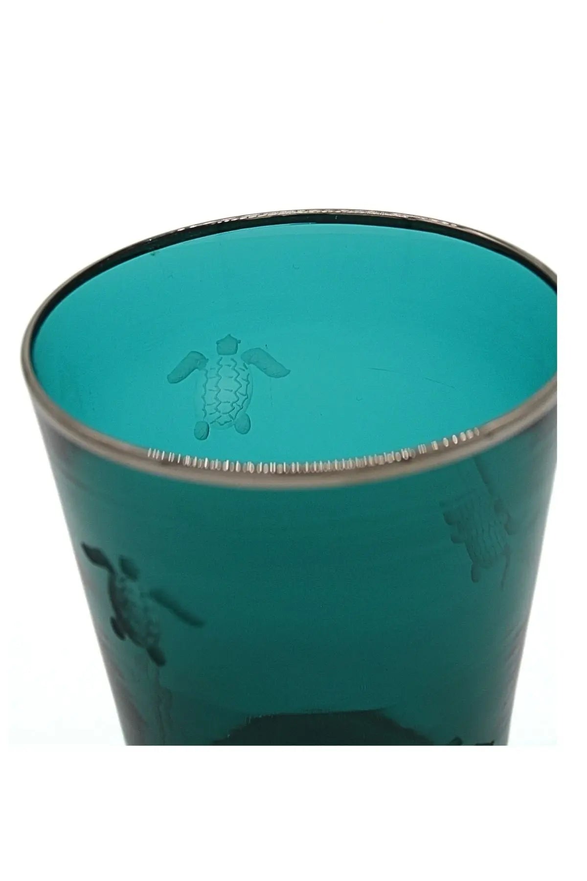 Vaso Glass- Turtle engraving Giberto