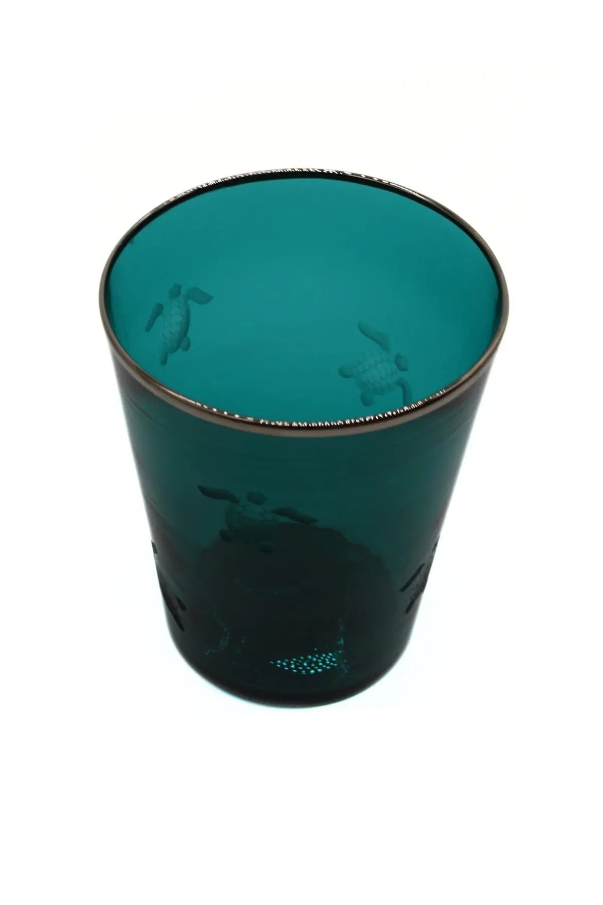 Vaso Glass- Turtle engraving Giberto