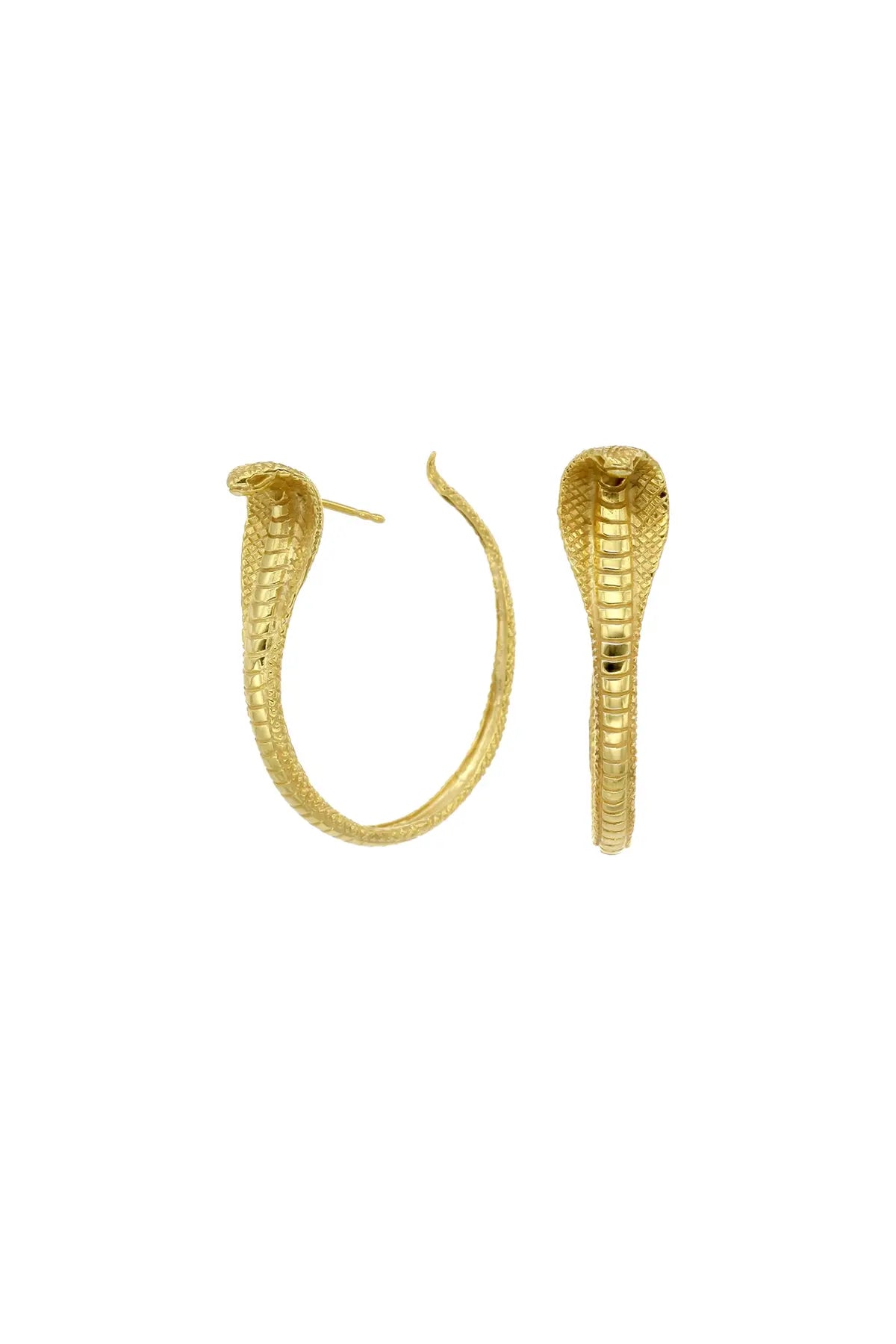 Snake Hoops Zoe & Morgan
