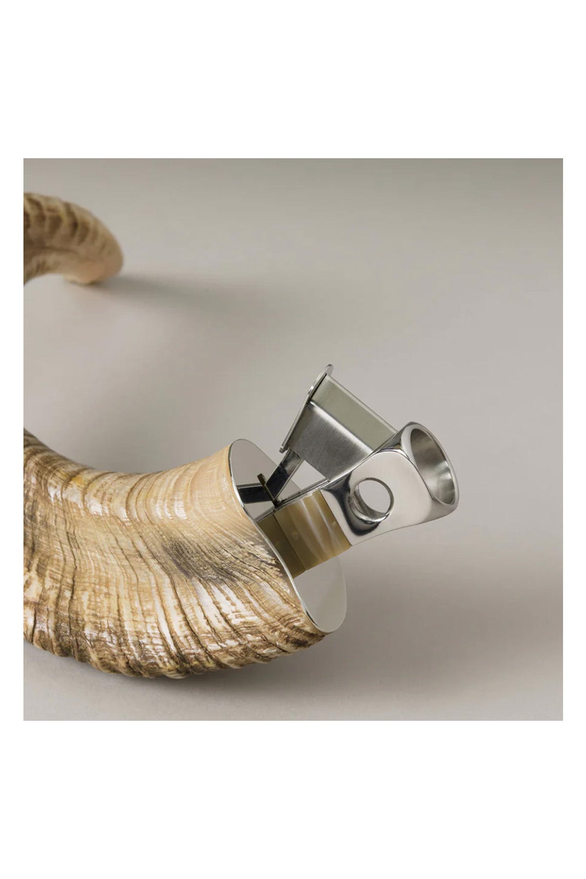 Cigar V-Cutter - Ram Horn