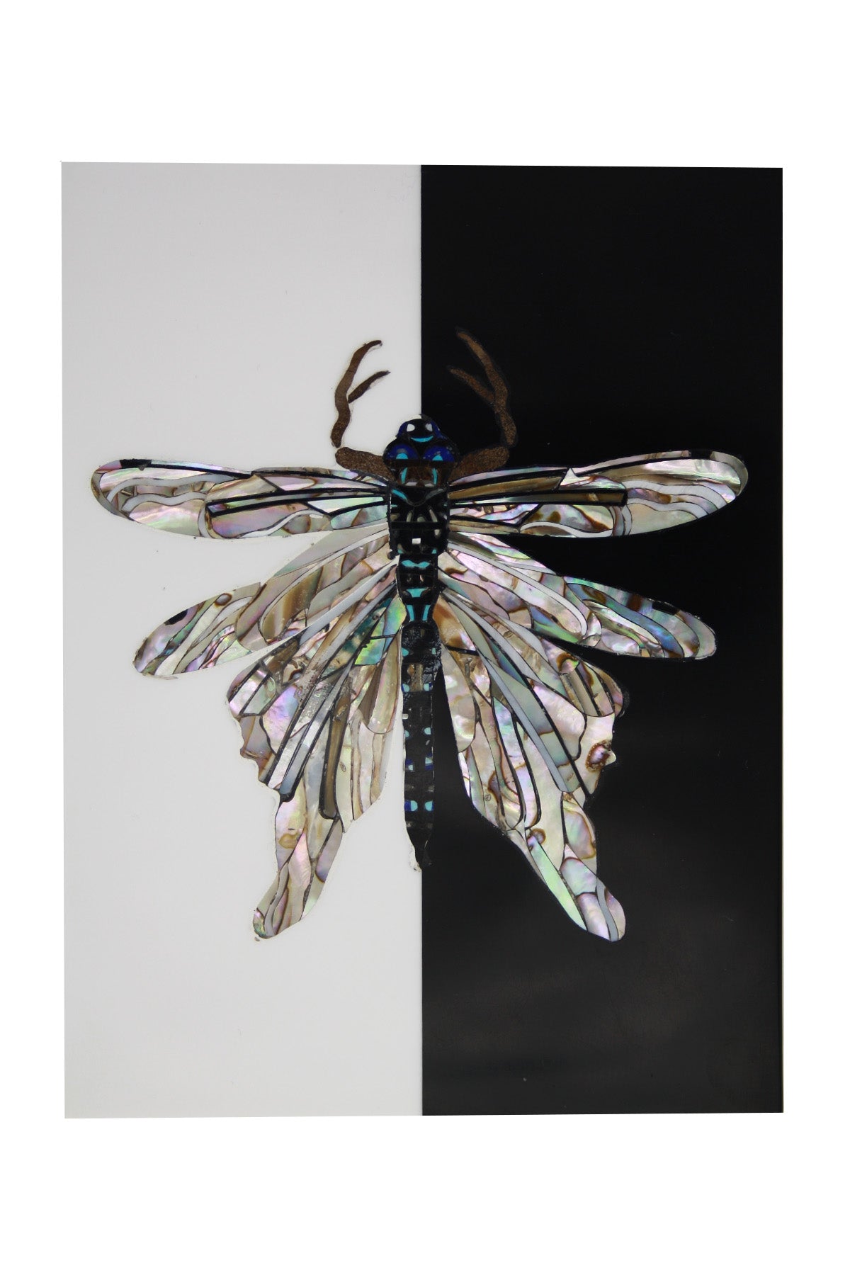 Mother of Pearl Dragon Fly Box