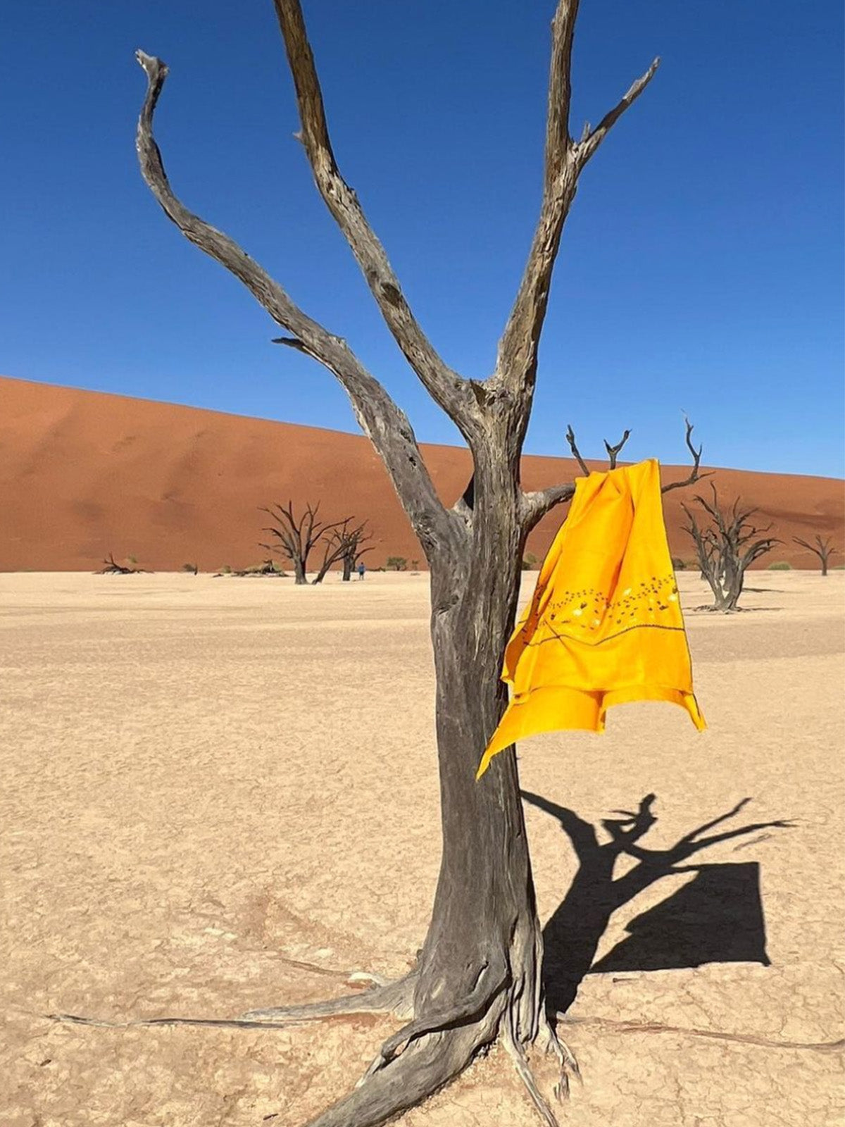 Footprints Embroidered Pashmina Shawl - Yellow