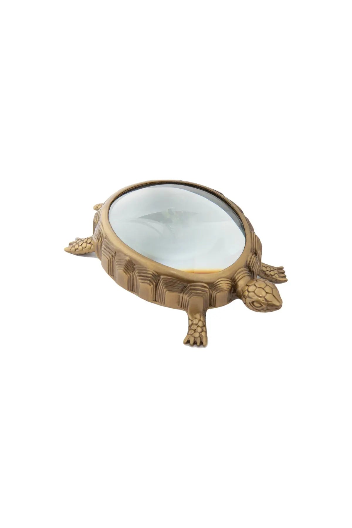 Turtle Magnifying Glass L'Objet