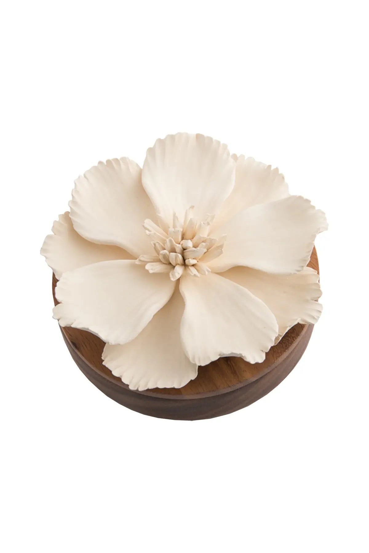 Magnolia Box - Small Objet Luxe