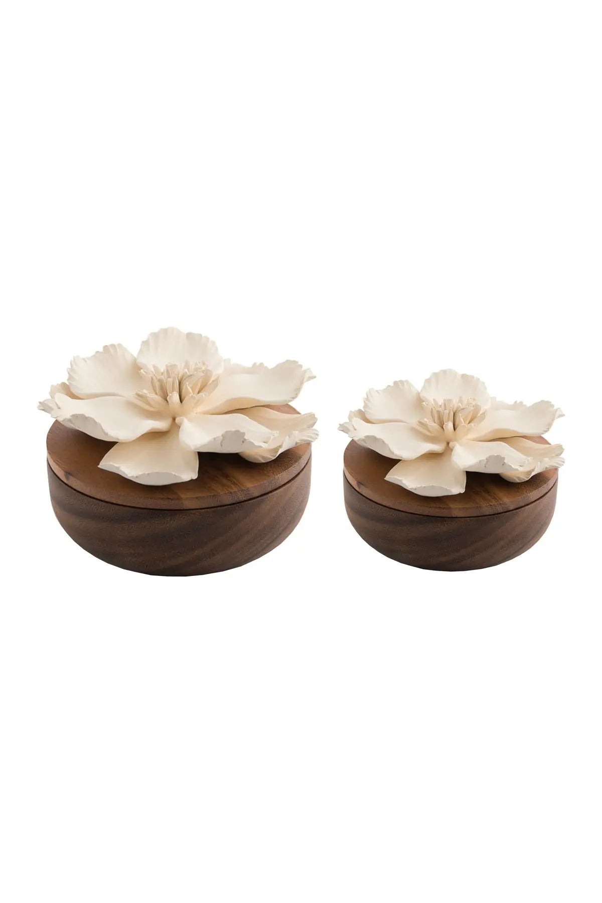 Magnolia Box - Small Objet Luxe