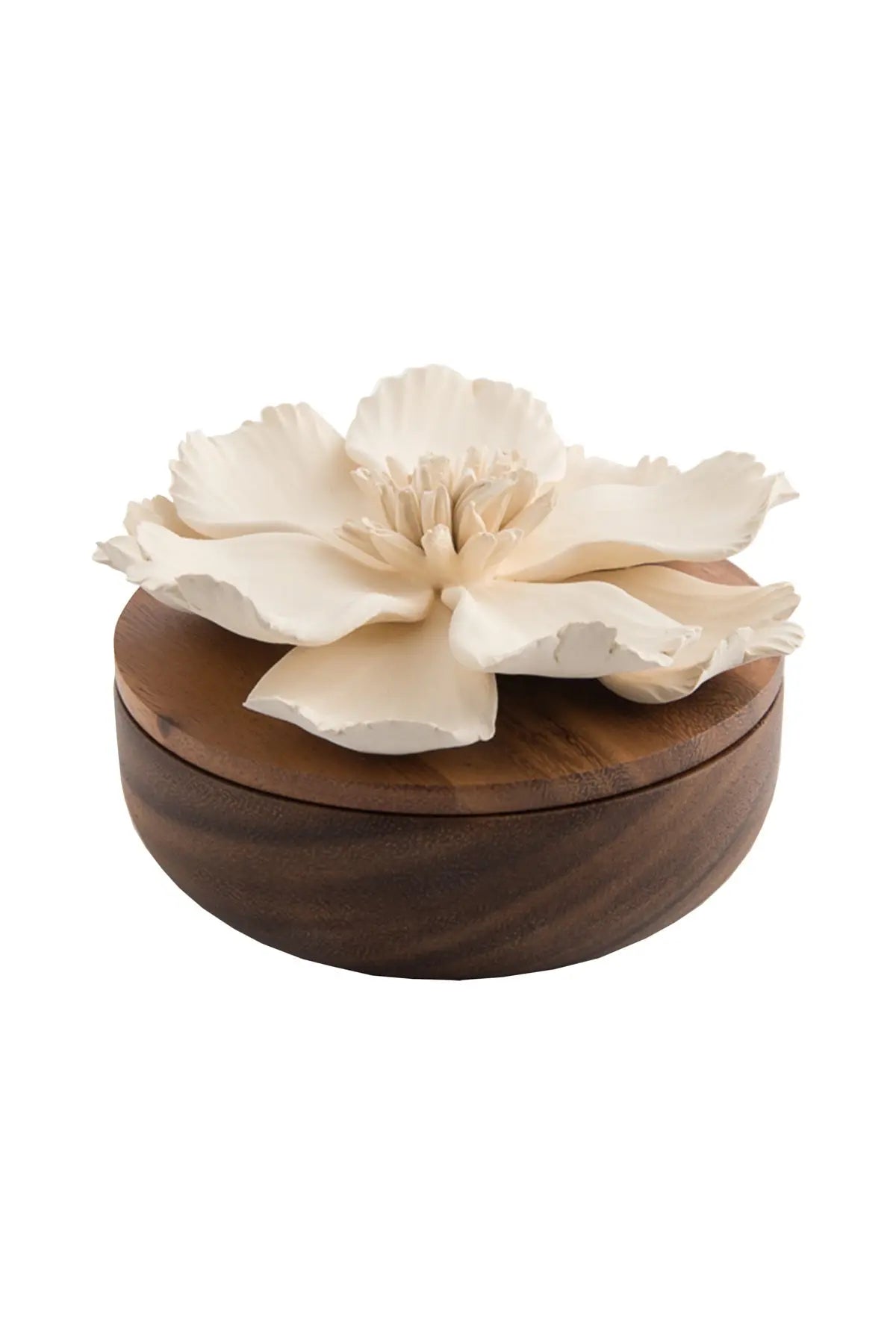 Magnolia Box - Large Objet Luxe