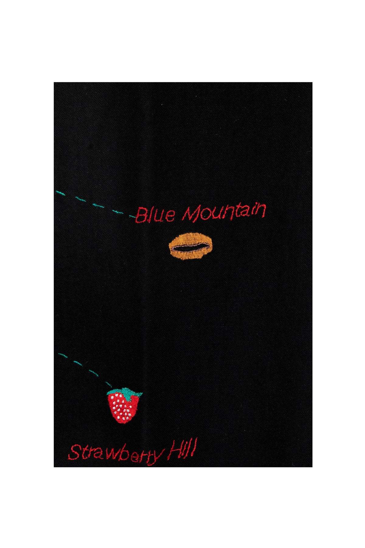 Jamaica Pashmina Shawl - Black