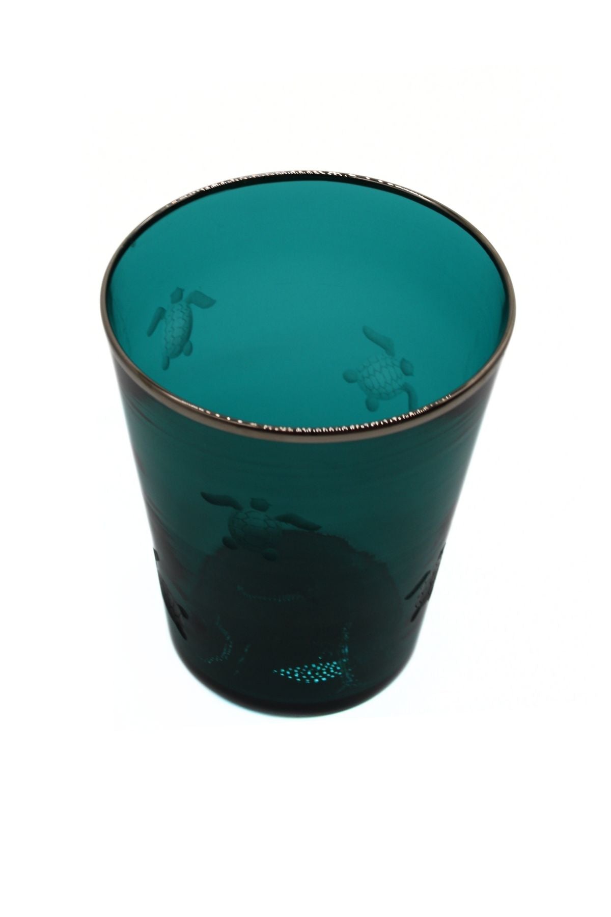 Vaso Glass- Turtle engraving