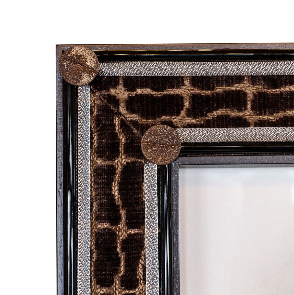 Coccodrillo Frame detail
