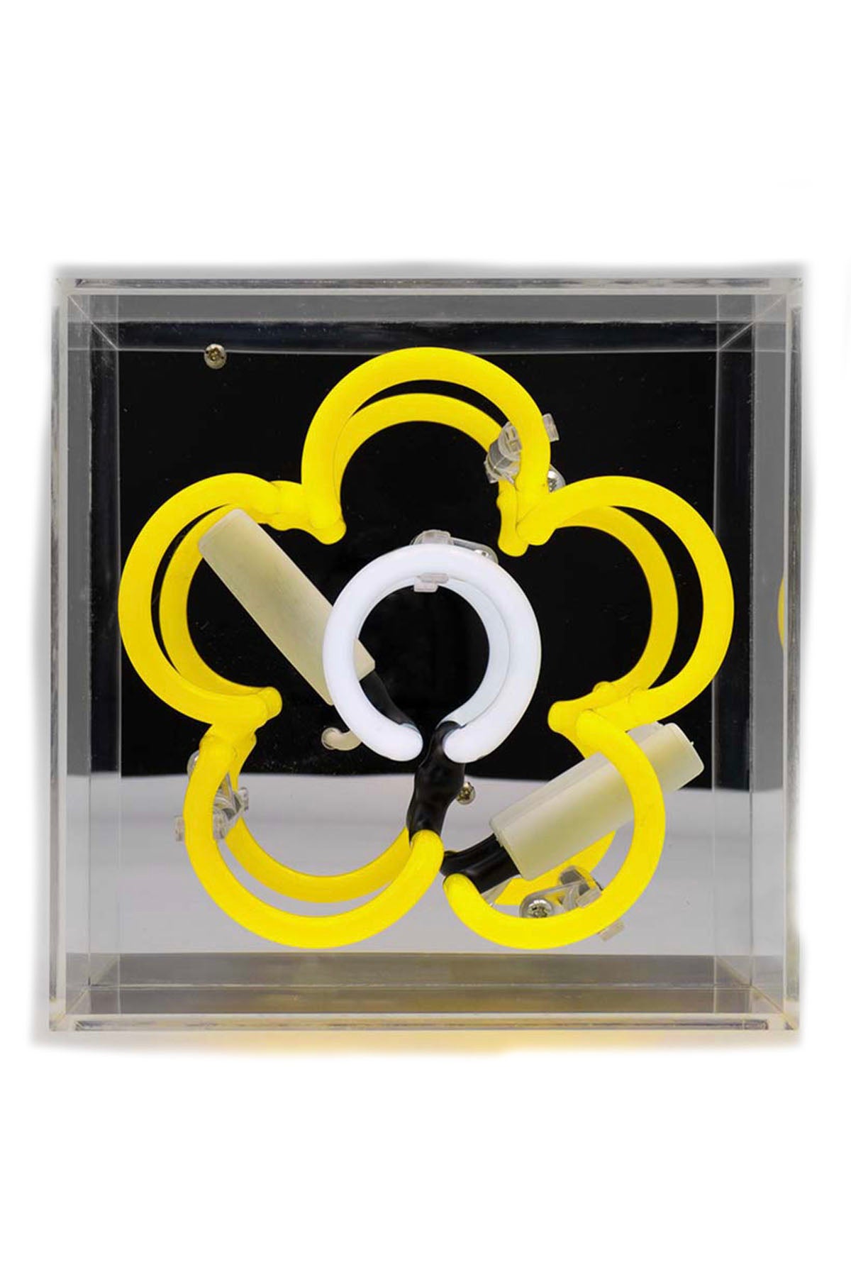 Neon Sign - Daisy Yellow