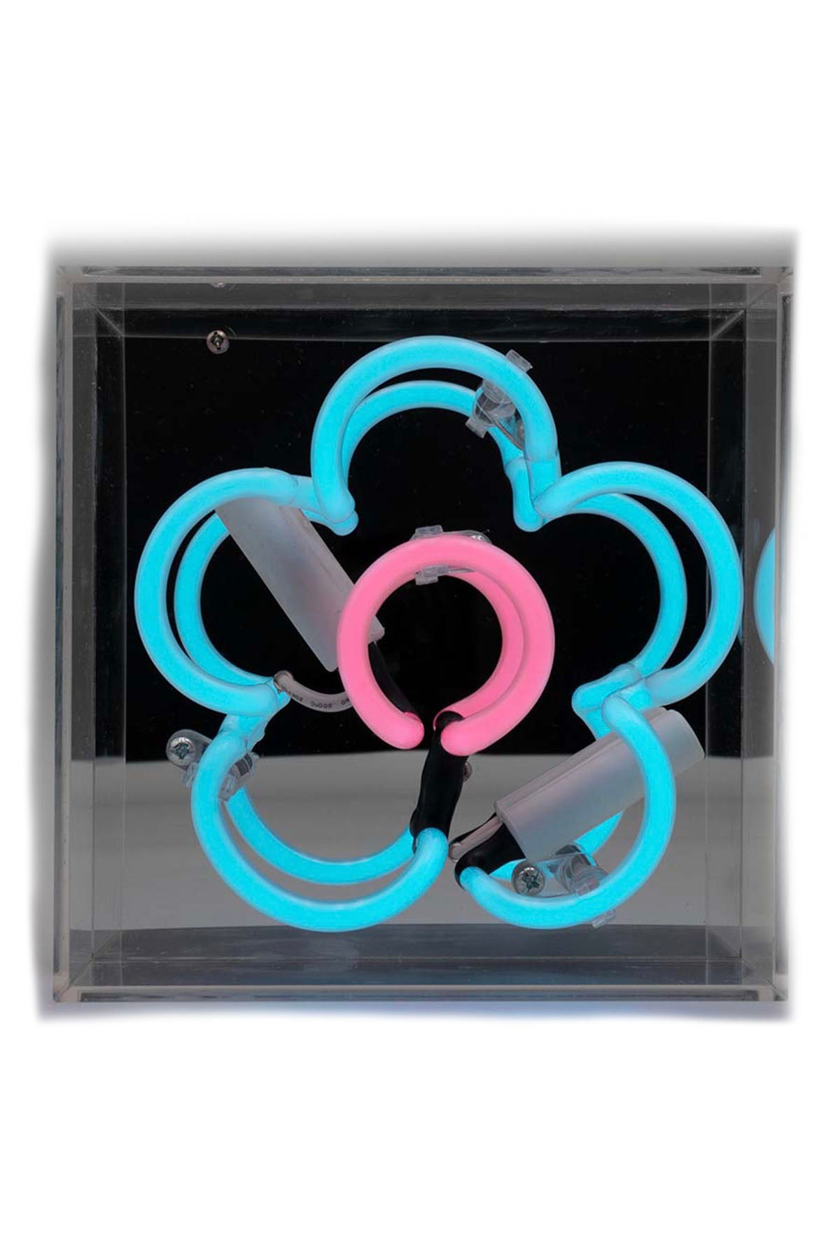 Neon Sign - Daisy Blue