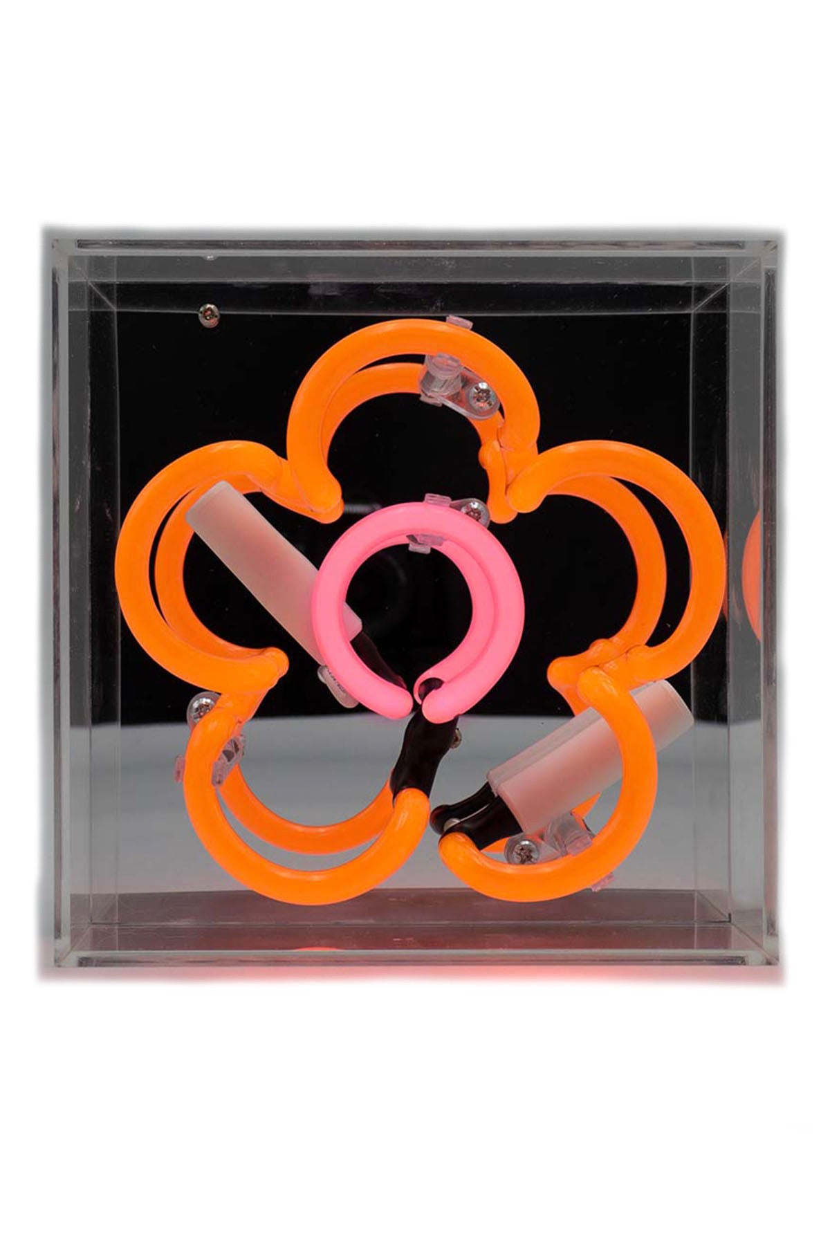 Neon Sign - Daisy Orange