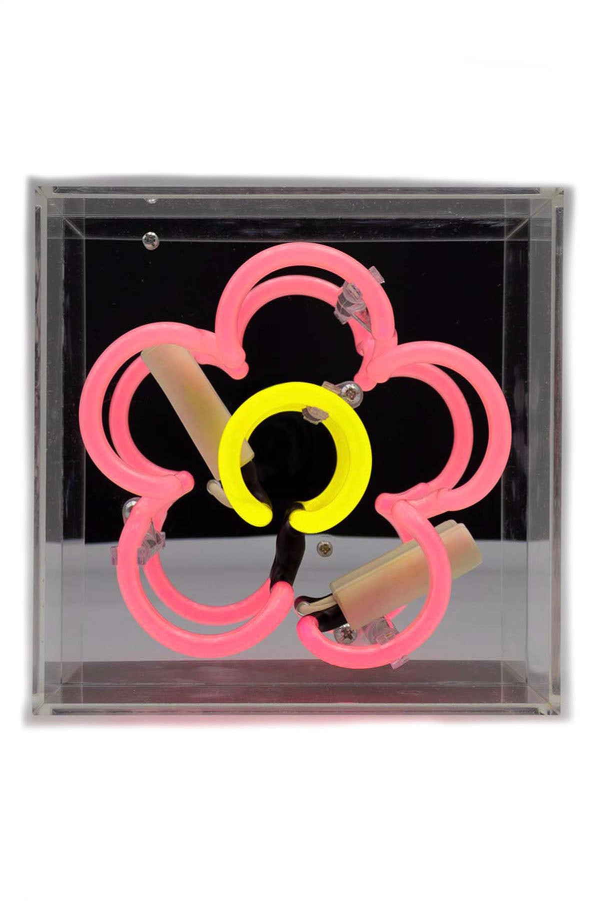 Neon Sign - Daisy Pink