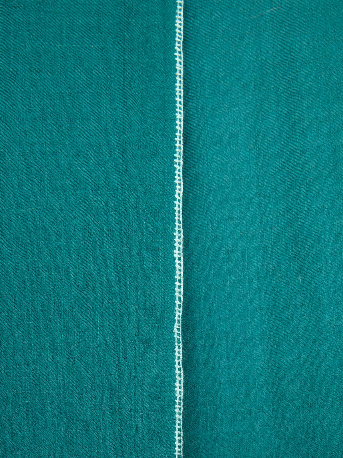 Classic Embroidered Edge Cashmere Pashmina Shawl - Teal