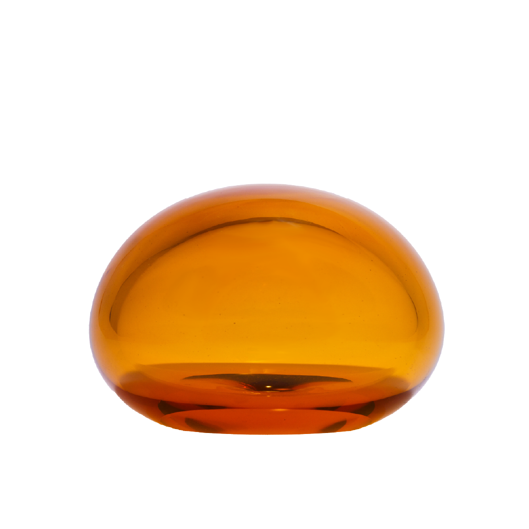 Sole Paperweight - Amber