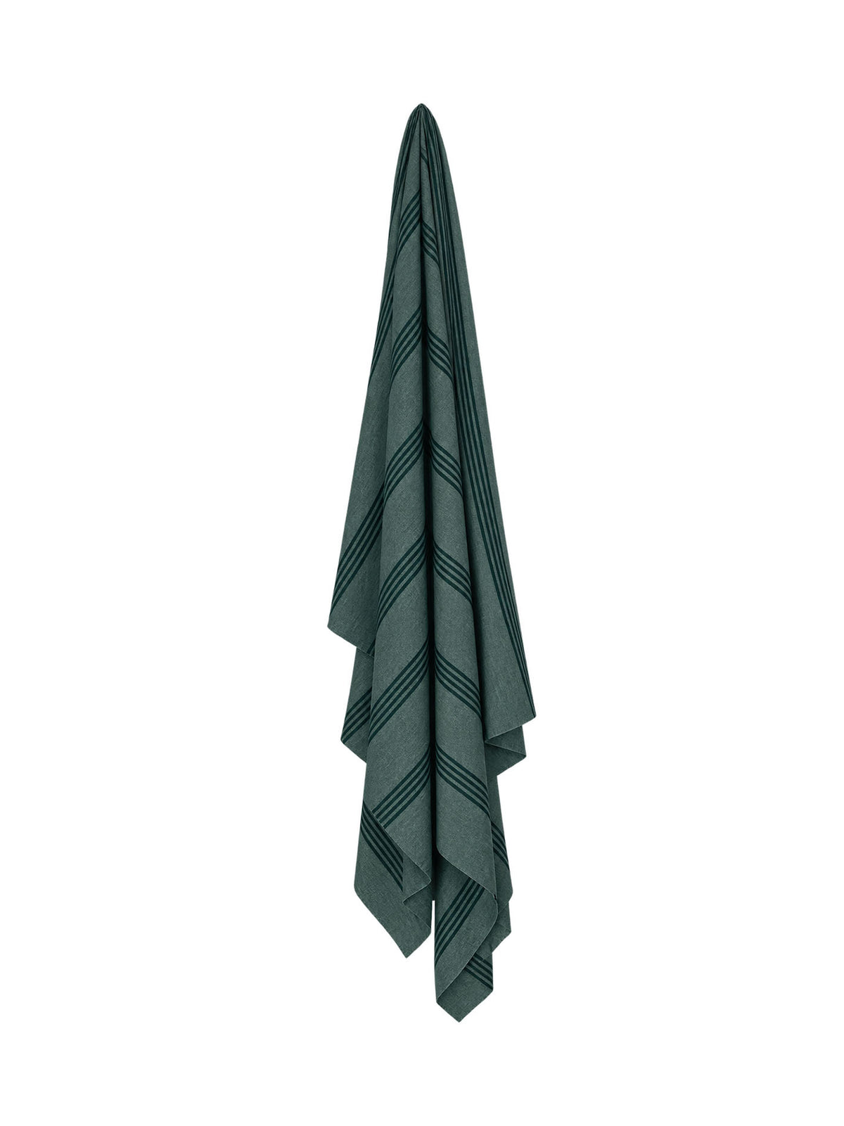 Black Forest Stripe Pashmina Shawl - Emerald