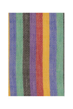 Load image into Gallery viewer, Multi Stripe Pashmina Shawl - Rainbow