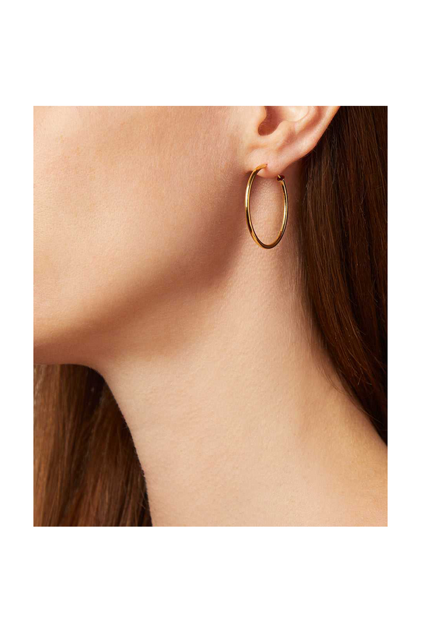 Gold Hoop Earrings - Fine